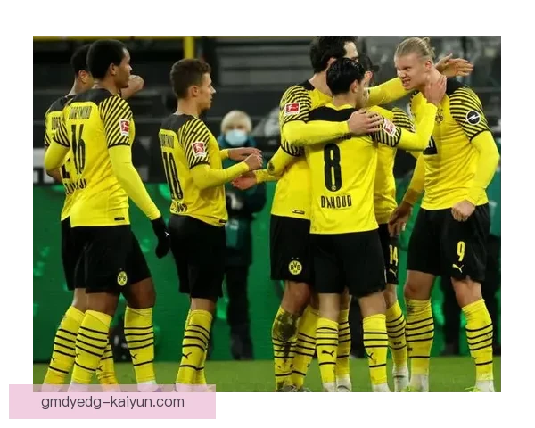 德甲阵容配置升级后，球队竞争力增强，未来表现值得关注。