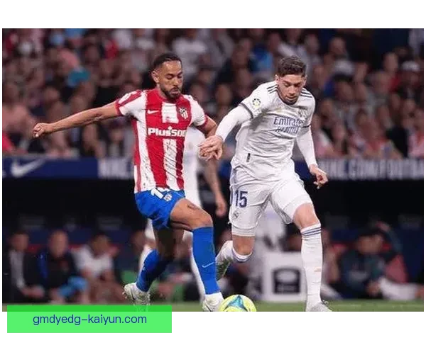 欧本反击效率持续提升，近期表现稳健引发关注